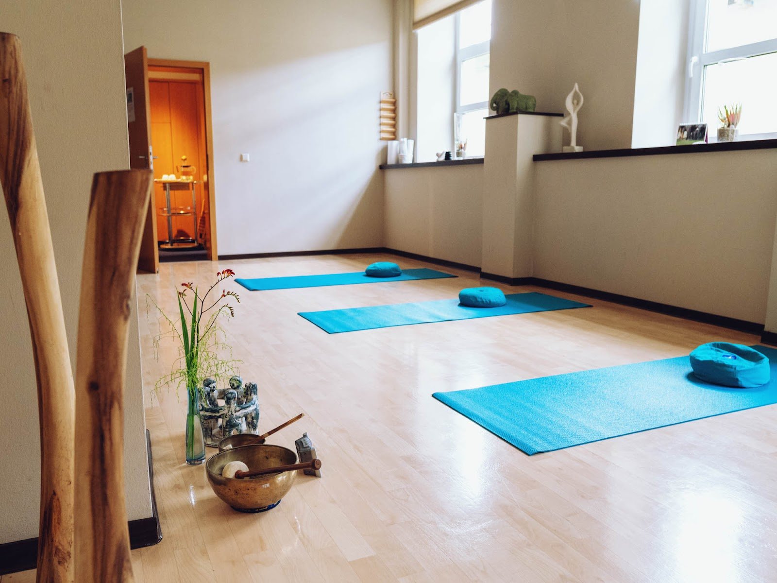 Medita Yoga And Ayurveda Therapy Centre