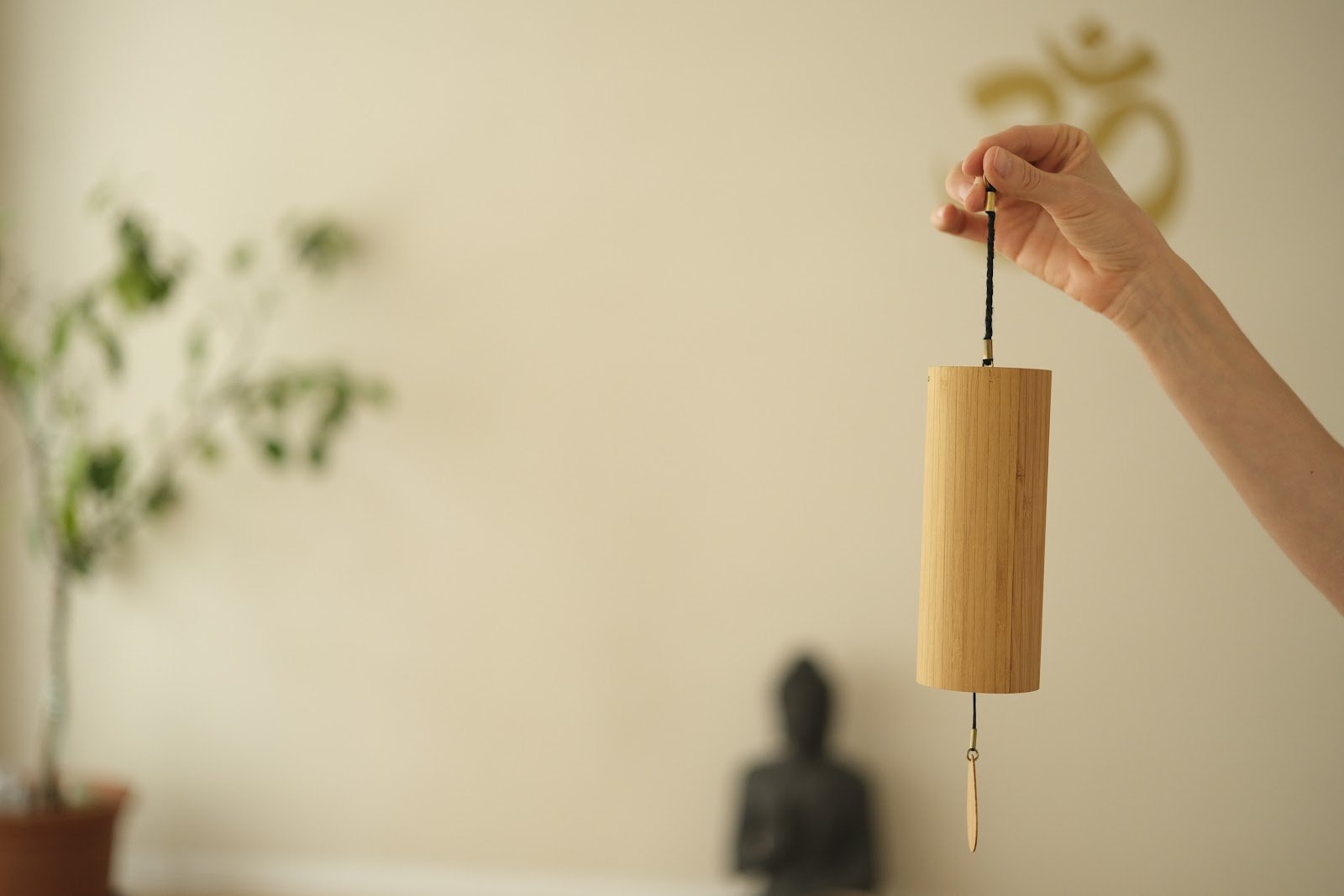 Anna Hahn - Meditationsliebe - Yoga, Meditation, Coaching