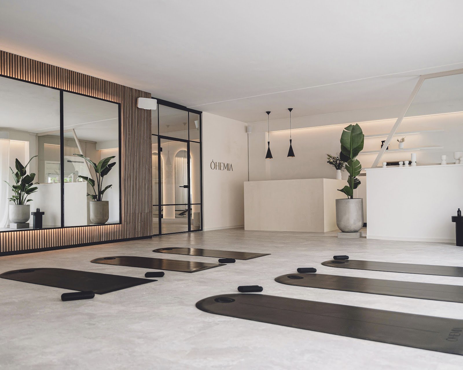OHEMIA Studio