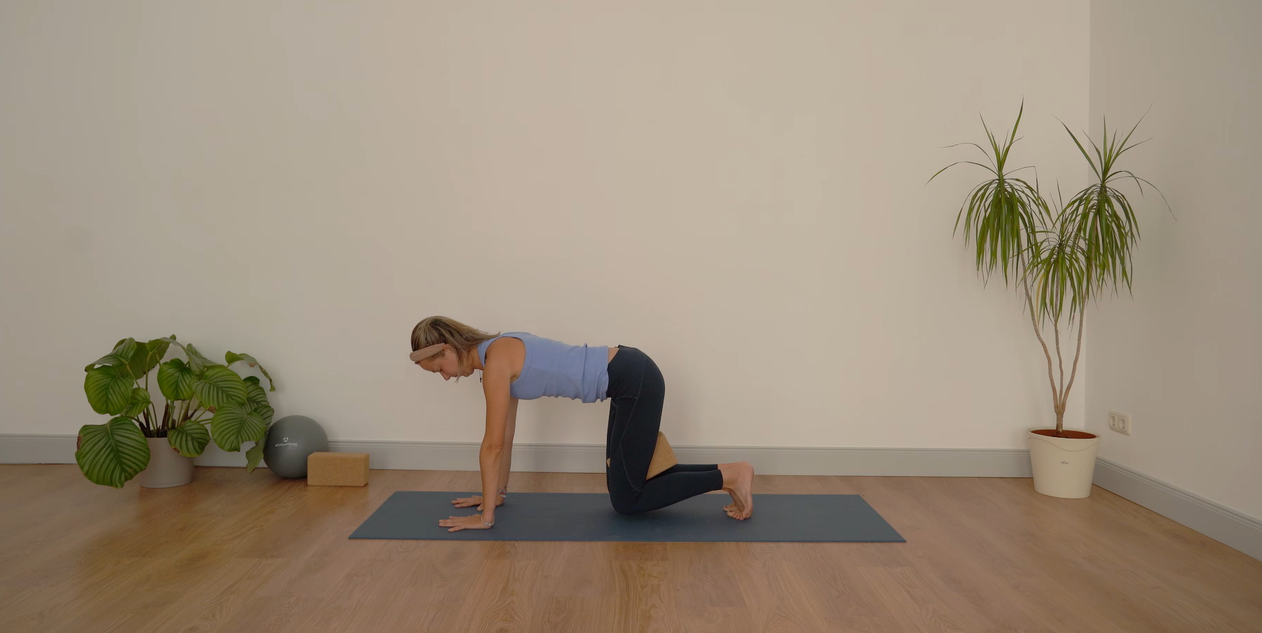 HARMONISCH FIT
