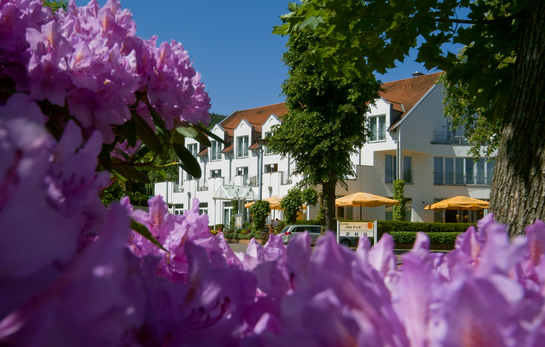 AKZENT Hotel "Zur Post"