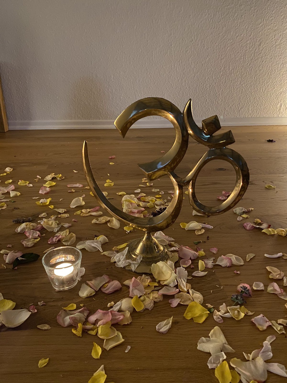 Yoga Vidya secondary image