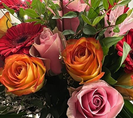 HOLISTIC BEAUTY Yvonne Zarndt