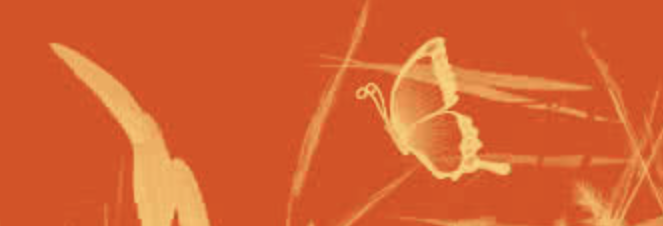 Die Sauna im Viertel secondary image