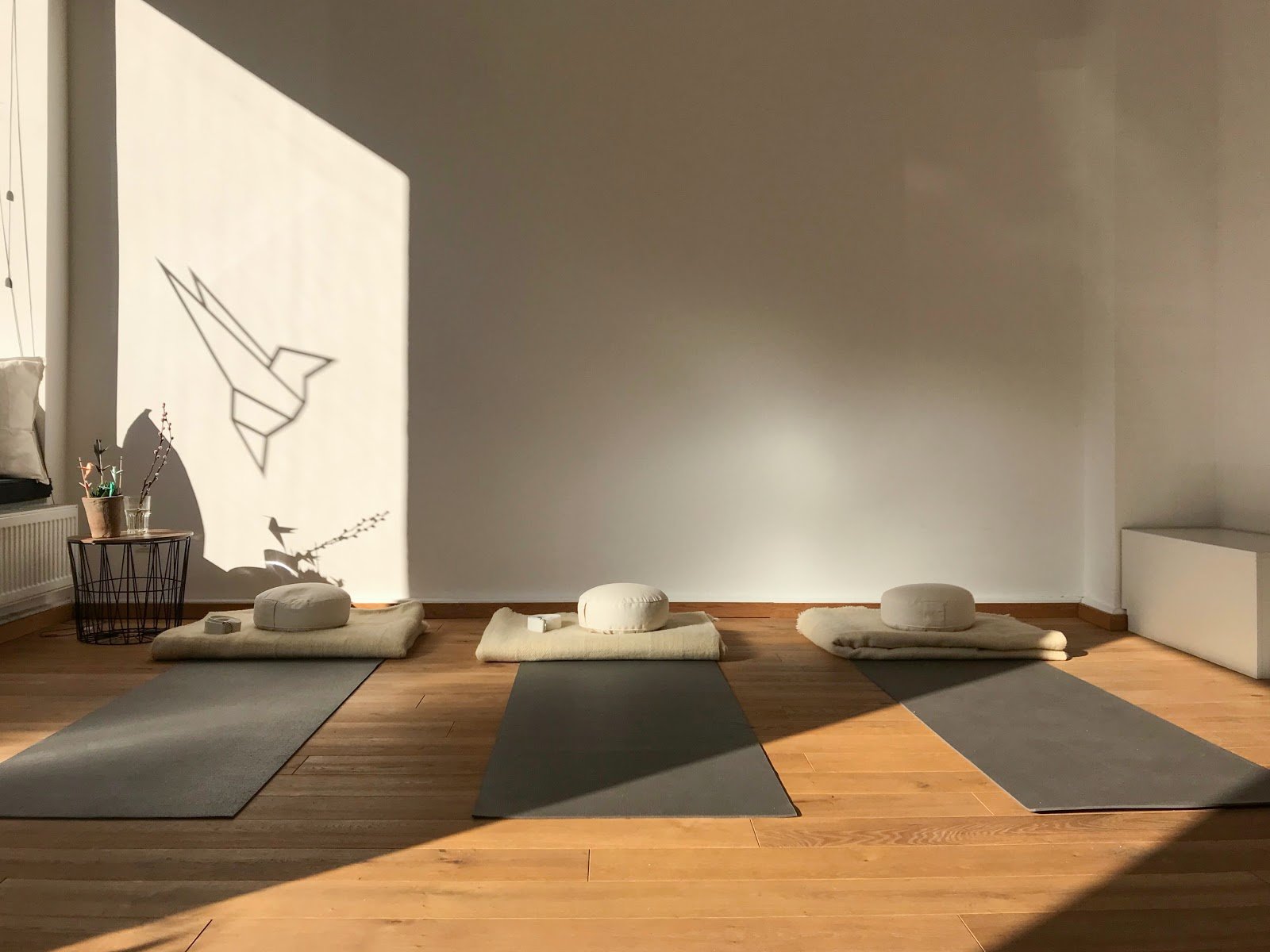 Kolibri - Yoga in Köln