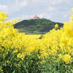 Hotel-Gasthof Thüringer Hof