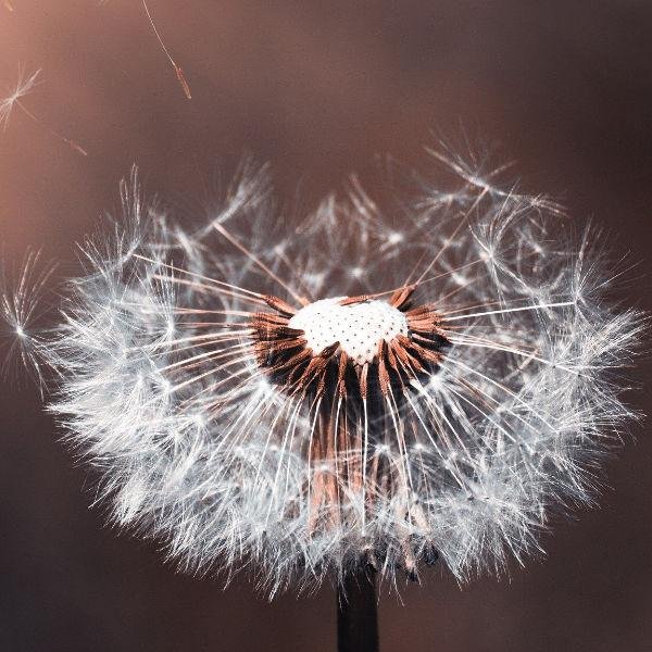 Privatpraxis für TouchLife Massage - Irma Petker secondary image