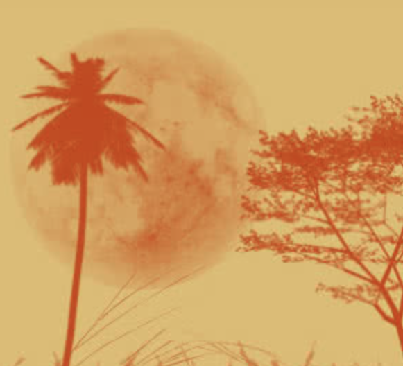 Die Sauna im Viertel